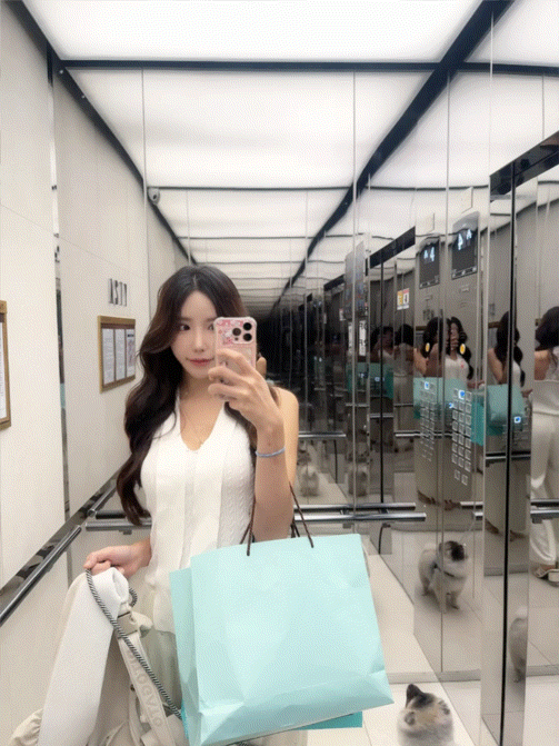 첨부 이미지 또는 GIF