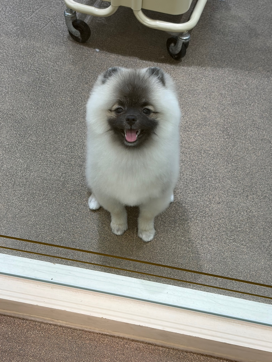 프로필
